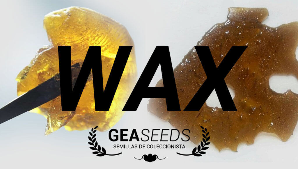 What is Wax? How is it made? What is its effect?